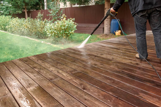 Animal Enclosure Cleaning in Boulevard Park, WA